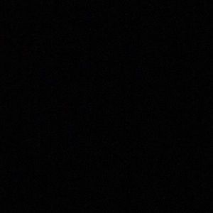 Meet your Posher, Liz